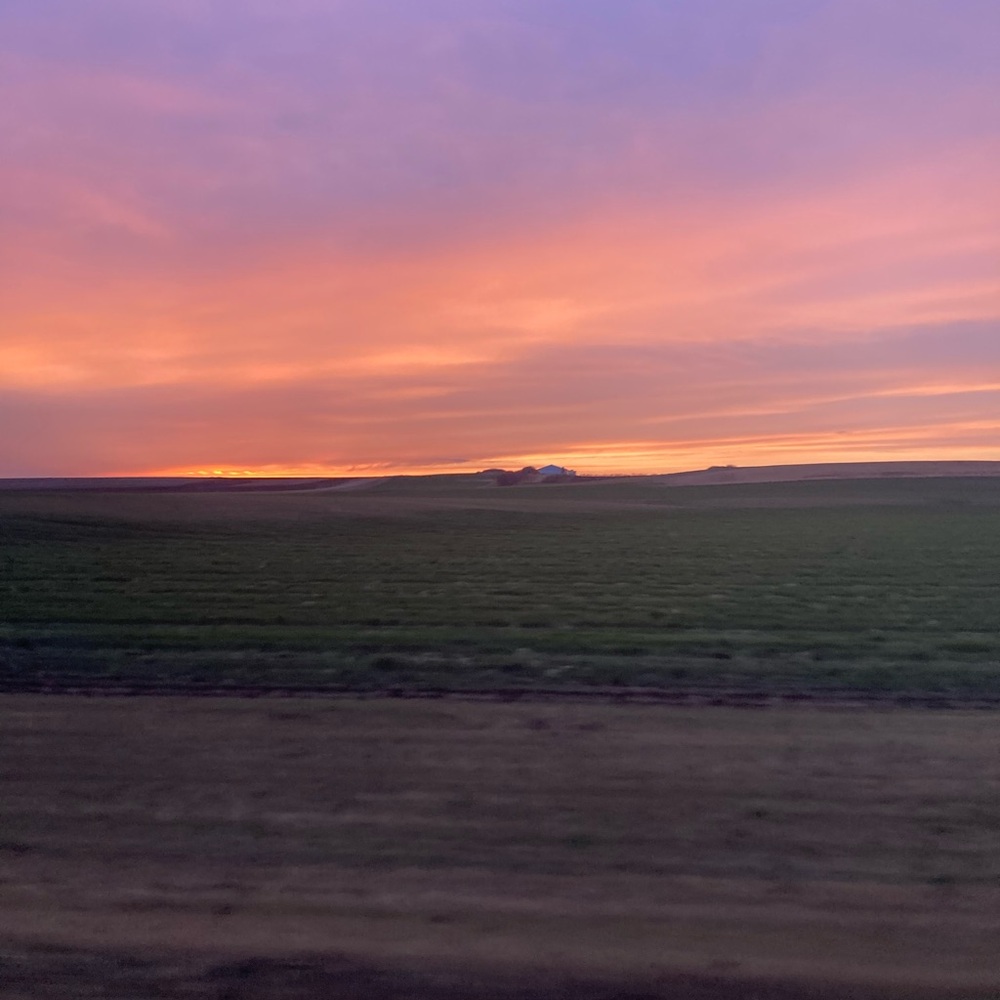 Meet your Posher, Hope